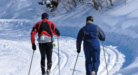 Cross-country skiing at Mont Grand-Fonds